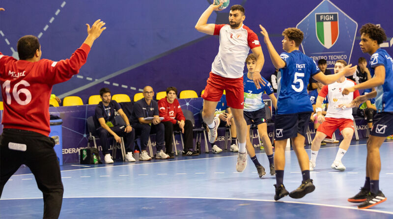 teramo handball lions