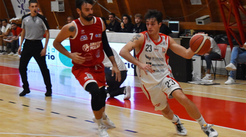 teramo basket