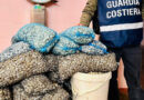 guardia costiera roseto