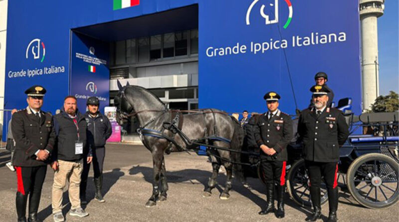 teramo cavallo netrix