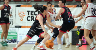 roseto panthers
