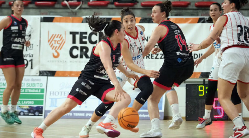 roseto panthers