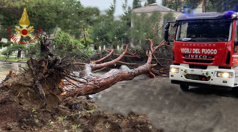 roseto vigili fuoco