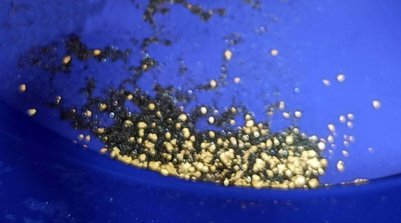 roseto oro