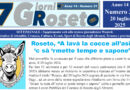 7 giorni roseto