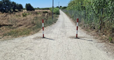 riserva borsacchio